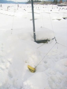 mccall-winter-18