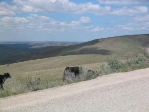 bogus-basin13