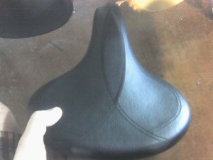 Photo_051009_001