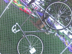 hanged bike photo_080809_012