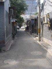 DSC05224