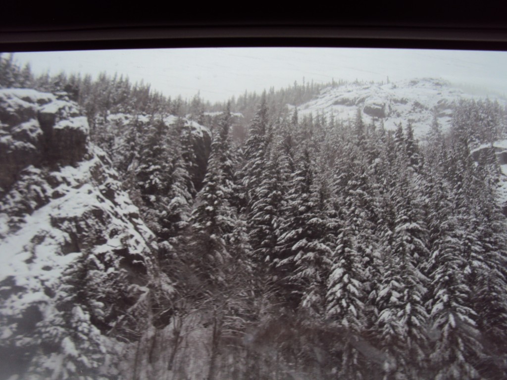DSC06302