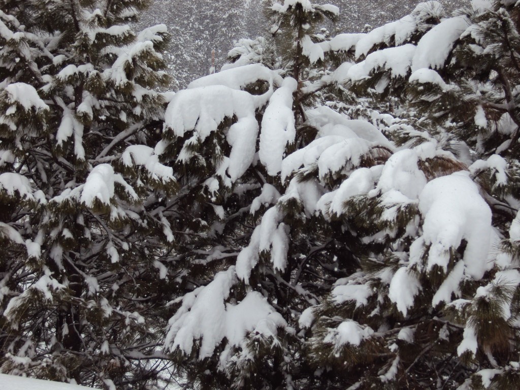 DSC06324